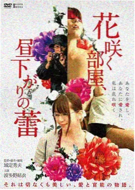 旧城改造中的方言档案专题封面